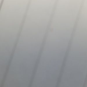 Meet your Posher, Blanca